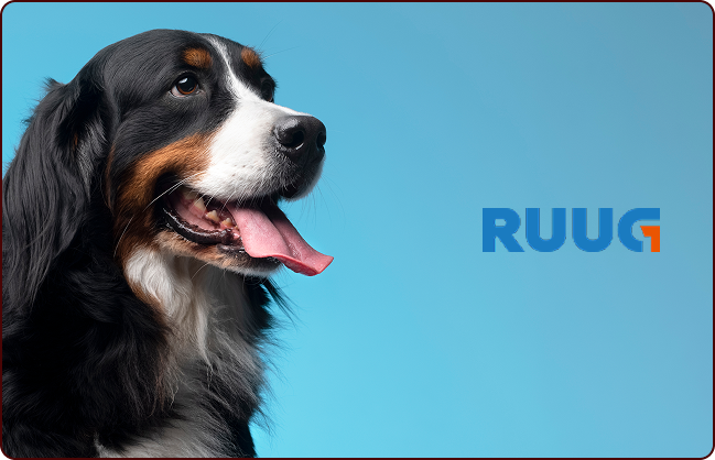 Obsługa konta Allegro w kategorii “Zwierzak”- Wzrost sprzedaży o 200%!